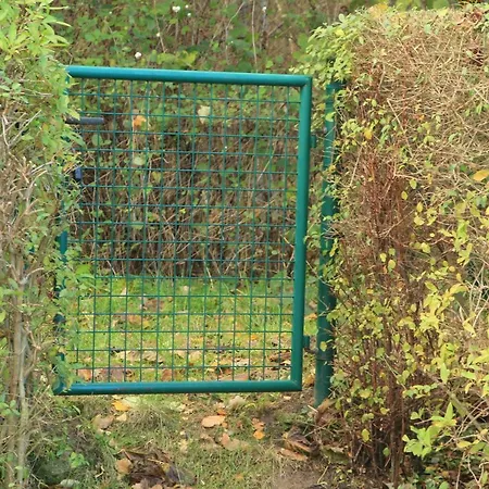 Auszeit Am Lindenpark * Ostseebad Kühlungsborn